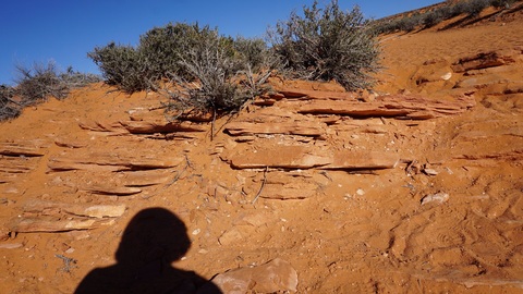 2948ab000291e77b1e5533c9a79b9bbb