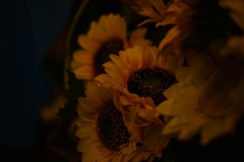 C0ef84b8e2d6a327fe6476943ecba365