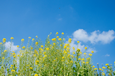 489c4429978f19b5940b94d42e529e54