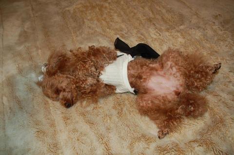 C13acac470b3ed696ef785cc49874fa3