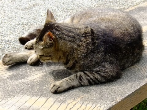 Ce746e742efb0133c80909d5c05736a4