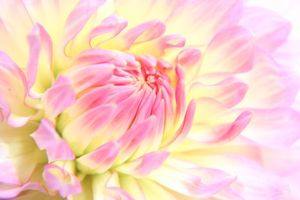 64f7eca5a8e75707178778ad3203bd70