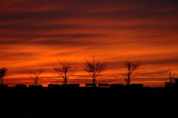 239b5fa5e86df08c1cb5c8e0ff1424c9