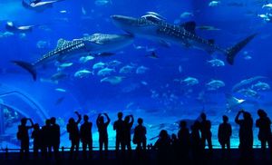 9871e562b6f22182d99a6437e40ff3ed