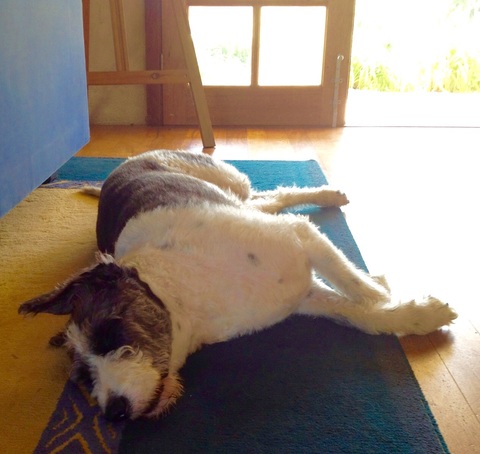 5ec87977a4902df82fc8eb701f9e2c3a