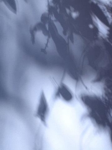 14ca0e7df3b77ee4f91a027ab8139684