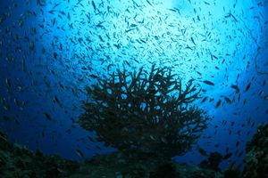 9acb5234c6d195689517f57e3d9af95b