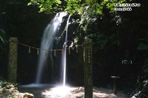 A50633b4de2d8705048e0683681ee5e1