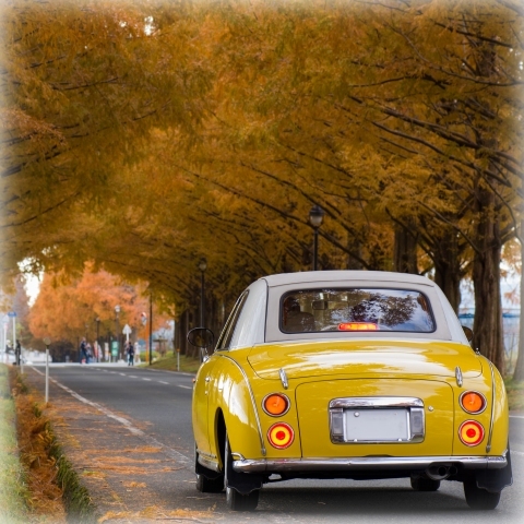 E603c3bd7ef913980e9638d95f8a3ef4