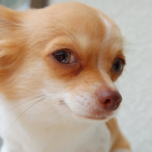 40b2bc70c611dccfe07e75a205891beb