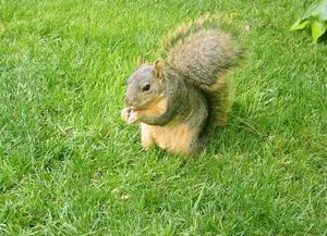 573b7c3e943ff656da6338f7ab0be47d