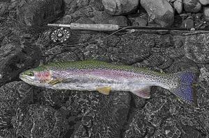 Eace30b8215868c9a3fcbf867b7049e5