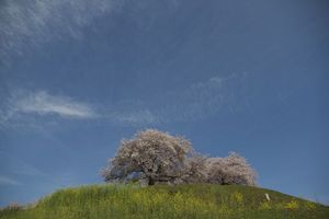 027b479ce8cbd607f731a5630dc25b0a