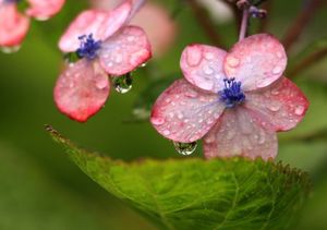 F8f69297d52ff0f5b13b9cfdf9dd52c2