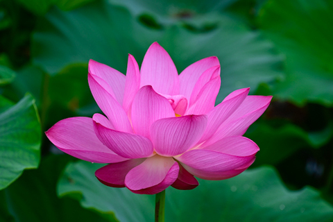 78187b92f04cb56bc5db06f45555628a