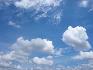 1bf70363a339670bd079821ec9751158