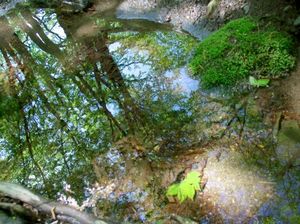 A9763aa019b88fc44fb08e07394509e2