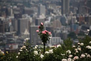 411d5b9247e126bb56e36e8da96a7e48