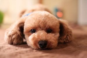 Ec7f54f3d07919736d4597e26276d7f8