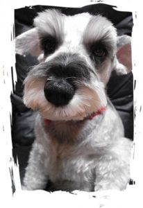 7072e9186999f5f23f70ee577be22e25