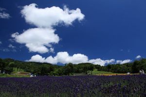 Befc0b53cfab8999271b885ba37fe90c