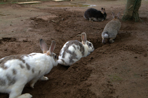 50b17039ef96a3b686b0a1ea5d561e89