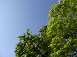 Be0683ca377240a4c29978858d430d90