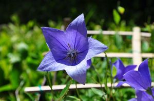 78b597ef8ecf389e6e1d60ad0f849e41