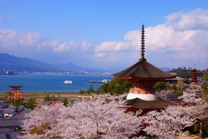 A4fe8b68a47b87bdec729055625b4433