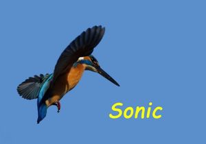 0448ade32b0dfd7b0d4259da498158d1