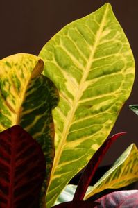 E991d863e5a143a38707a7bff222ac9c