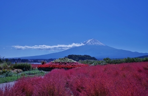 A71b98108e9b9836255ee534f5d9d941