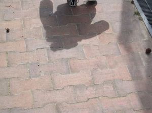 688b58bf28c67937c571fdb5df8d4db9