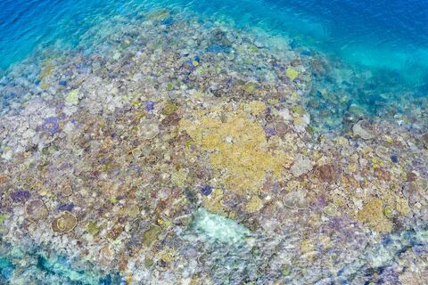 442c9ab7d65431b7a625f123db8615dc