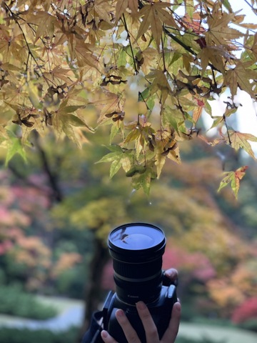 D83d1931af16c4aeb767c23700adb3e1