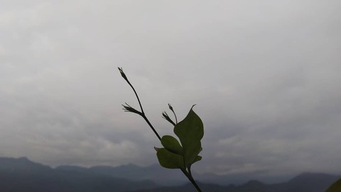 02b544856560b056728c625a454455bb