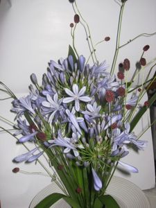 257c14633a40b17e36c3ef420f40cac4