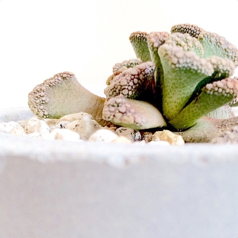 E50a903351ff4400f5020db3b16eee18