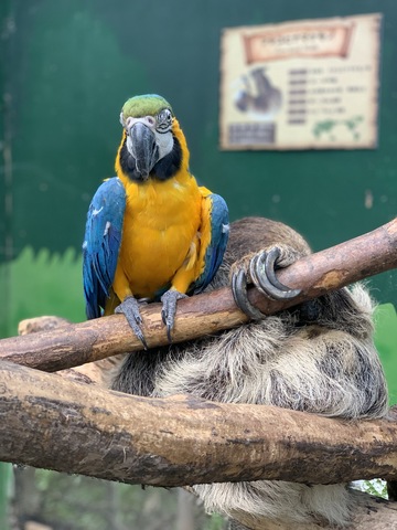 Da38f684af189ae8c981909fb235d278