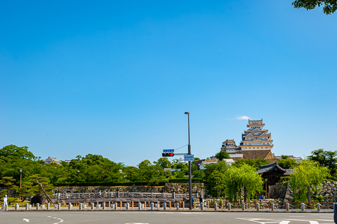 8f6a7c9e65d1b6fc2033569f640a01d1