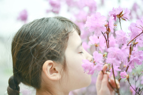 5f127fa7a34bce89d166a97a273f0591