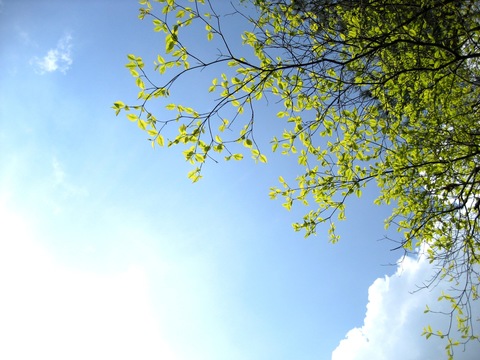 4b985d346706a45fe2b14ff27e1c6f41