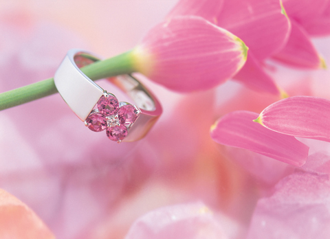 2bff09c1f48f74ca5ae5f2726072aa96