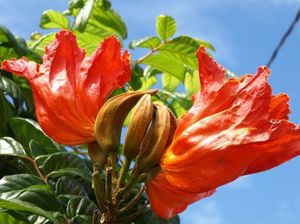 2f4eb114dc01becacbf4a210dc985be7