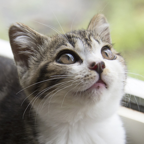 B00341157b3b443acef45969440e85c3