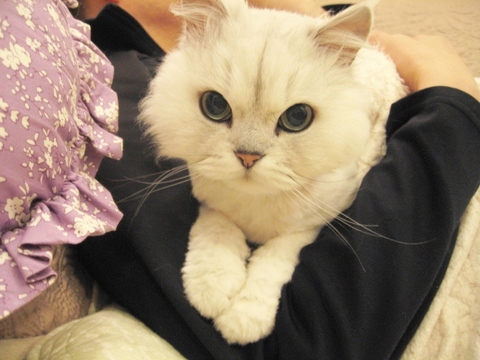 Af111a41795f5836bb92900f6ee16592