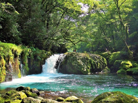 A77d507f2d64eafec79c1e7fad3a81e8