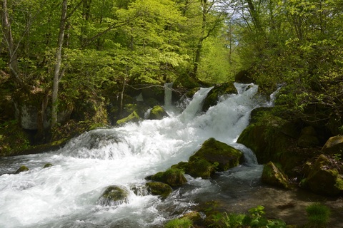 D368a7e613138a960cc9ca339a0110be