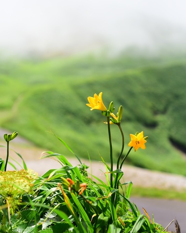 508c65d8a0674304aa848a1e3204b496