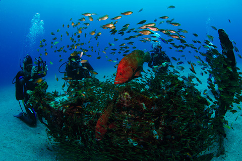 E2145f696fcecedc0dd5142540720165